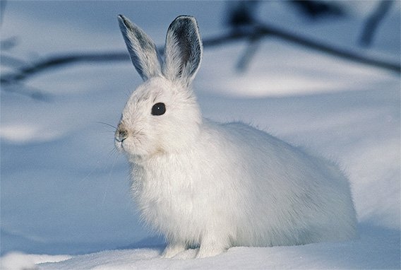 winter-gellary-3